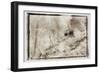 Roof in the Jungle,Guatemala-Theo Westenberger-Framed Photographic Print