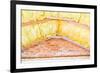 Roof Insulation-roman023-Framed Photographic Print