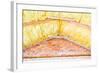 Roof Insulation-roman023-Framed Photographic Print