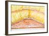 Roof Insulation-roman023-Framed Photographic Print