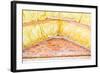 Roof Insulation-roman023-Framed Photographic Print