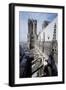 Roof of Central Nave Decorated with Clovers and Lilies of France, Cathedral of Notre-Dame-null-Framed Photographic Print