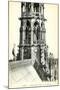Roof of Notre Dame Cathedral-null-Mounted Art Print