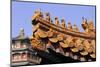 Roof of Old Summer Palace-Jon Hicks-Mounted Photographic Print