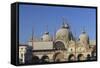 Roof of Saint Mark's Basilica. Venice. Italy-Tom Norring-Framed Stretched Canvas