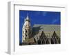 Roof of Stephansdom, UNESCO World Heritage Site, Vienna, Austria, Europe-Hans Peter Merten-Framed Photographic Print