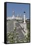 Roof of Traditional Trullo with Locorotondo in Distance, Puglia, Italy, Europe-Martin-Framed Stretched Canvas