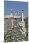 Roof of Traditional Trullo with Locorotondo in Distance, Puglia, Italy, Europe-Martin-Mounted Photographic Print