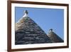 Roof of Traditional Trullos (Trulli) in Alberobello-Martin-Framed Photographic Print