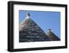 Roof of Traditional Trullos (Trulli) in Alberobello-Martin-Framed Photographic Print