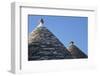 Roof of Traditional Trullos (Trulli) in Alberobello-Martin-Framed Photographic Print