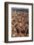 Roof Tops of Florence, Italy, Tuscany, Europe-Simon Montgomery-Framed Photographic Print