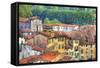 Roof Tops of Lucca, Lucca, Italy-Terry Eggers-Framed Stretched Canvas