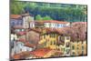Roof Tops of Lucca, Lucca, Italy-Terry Eggers-Mounted Photographic Print