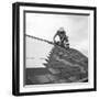 Roofer Working in Levittown-Tony Linck-Framed Photographic Print