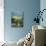 Roofs of Houses in Shaftesbury and Typical Patchwork Fields Beyond, Dorset, England, United Kingdom-Julia Bayne-Photographic Print displayed on a wall