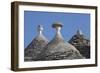Roofs of Traditional Trullos (Trulli) in Alberobello-Martin-Framed Photographic Print