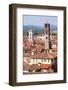 Roofscape as Seen from Torre Guinigi, with the Torre Delle Ore on the Right, Lucca-Peter Groenendijk-Framed Photographic Print