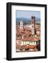 Roofscape as Seen from Torre Guinigi, with the Torre Delle Ore on the Right, Lucca-Peter Groenendijk-Framed Photographic Print