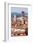 Roofscape as Seen from Torre Guinigi, with the Torre Delle Ore on the Right, Lucca-Peter Groenendijk-Framed Photographic Print