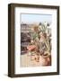 Rooftop in Marrakech-Henrike Schenk-Framed Photographic Print