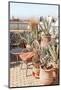 Rooftop in Marrakech-Henrike Schenk-Mounted Photographic Print