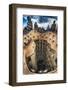 Rooftop View of Csa Mila, Barcelona, Spain-George Oze-Framed Photographic Print