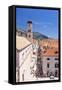 Rooftop view of Main Street Placa, Stradun, Dubrovnik Old Town, UNESCO World Heritage Site, Dubrovn-Neale Clark-Framed Stretched Canvas