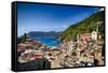 Rooftop View of Vernazza, Cinque Terre, Italy-George Oze-Framed Stretched Canvas