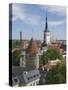 Rooftop View With Church of the Holy Ghost, Tallin, Estonia, Europe-James Emmerson-Stretched Canvas