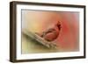 Rooftop Visitor Cardinal-Jai Johnson-Framed Giclee Print