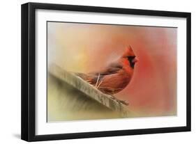 Rooftop Visitor Cardinal-Jai Johnson-Framed Premium Giclee Print