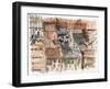 Rooftops, Bogota-Mary Kuper-Framed Giclee Print