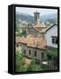 Rooftops, Dogliani, the Langhe, Piedmont, Italy-Sheila Terry-Framed Stretched Canvas
