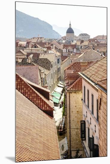 Rooftops - Dubrovnik, Croatia-Laura DeNardo-Mounted Premium Photographic Print