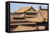 Rooftops, Forbidden City, Beijing, China, Asia-Janette Hill-Framed Stretched Canvas