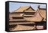 Rooftops, Forbidden City, Beijing, China, Asia-Janette Hill-Framed Stretched Canvas