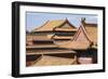 Rooftops, Forbidden City, Beijing, China, Asia-Janette Hill-Framed Photographic Print