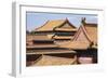 Rooftops, Forbidden City, Beijing, China, Asia-Janette Hill-Framed Photographic Print