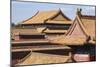 Rooftops, Forbidden City, Beijing, China, Asia-Janette Hill-Mounted Photographic Print