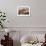 Rooftops, Forbidden City, Beijing, China, Asia-Janette Hill-Framed Photographic Print displayed on a wall