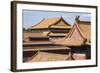 Rooftops, Forbidden City, Beijing, China, Asia-Janette Hill-Framed Photographic Print