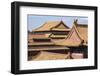 Rooftops, Forbidden City, Beijing, China, Asia-Janette Hill-Framed Photographic Print