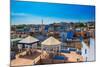 Rooftops in Jodhpur, the Blue City, Rajasthan, India, Asia-Laura Grier-Mounted Photographic Print