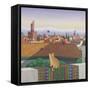 Rooftops in Marrakesh, 1989-Larry Smart-Framed Stretched Canvas
