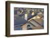 Rooftops in Suburbs-DLILLC-Framed Photographic Print