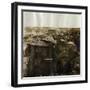 Rooftops of Houses after Tidal Wave-null-Framed Photographic Print