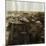 Rooftops of Houses after Tidal Wave-null-Mounted Photographic Print