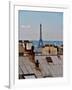 Rooftops of Paris-Marilyn Dunlap-Framed Art Print