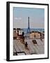 Rooftops of Paris-Marilyn Dunlap-Framed Art Print